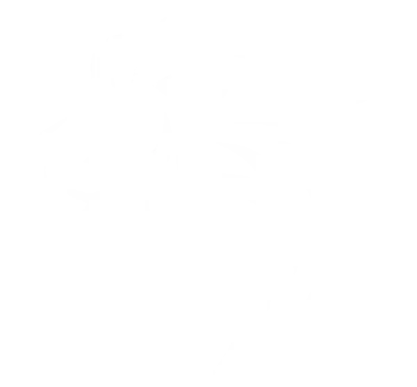 Mataris-lion